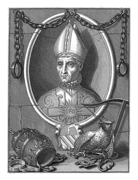 Retrato Busto Del Papa Juan Xxiii Primer Plano Tiara Papal —  Fotos de Stock