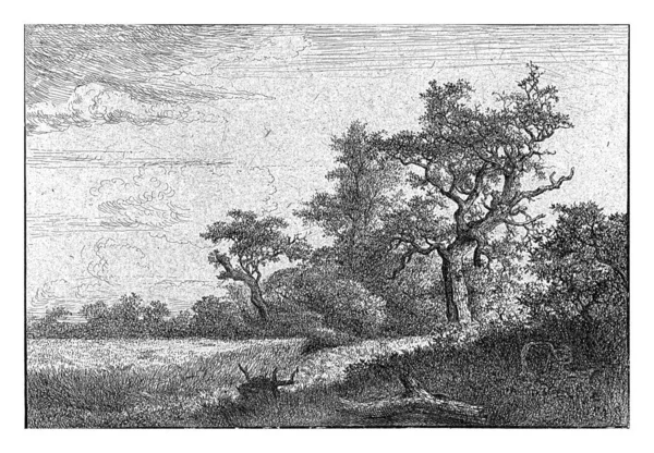 コーンフィールド ジェイコブ アイザックス ファン ルイスダール1648年 1679年 — ストック写真