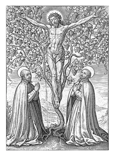 基督被钉在充满葡萄的活葡萄架上 Loyola的Jesuits Ignatius 和Francis Xavier 跪在树下敬拜 — 图库照片