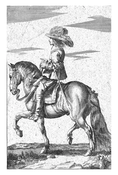 左側のプロファイルでライダー ライダーは彼の側に羽の帽子とセイバーを身に着けています 馬は尾に装飾が施されている — ストック写真