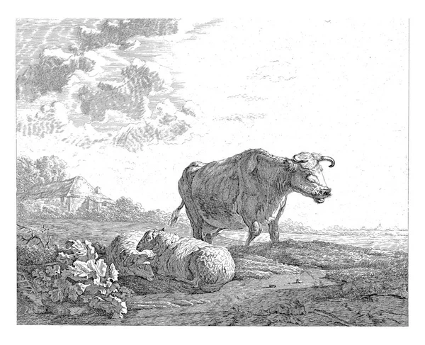 Előtérben Két Bárány Egy Tehén Balra Egy Farm — Stock Fotó