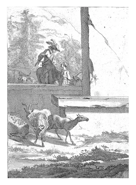 ニコラスPieterszの後の壁 ヴィッシャーによるヤギとライダー ベルケム 1643年 1692年壁の前には ライダー 若い女性と牛が立っている 3頭のヤギです — ストック写真