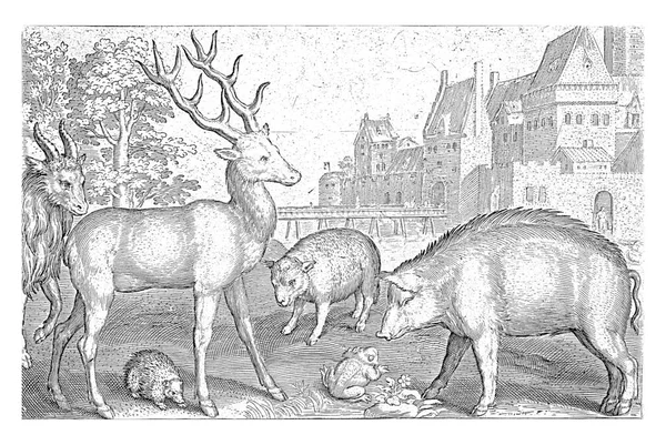 Herten Egel Schapen Kikker Varken Nicolaes Bruyn 1621 Vintage Gravure — Stockfoto