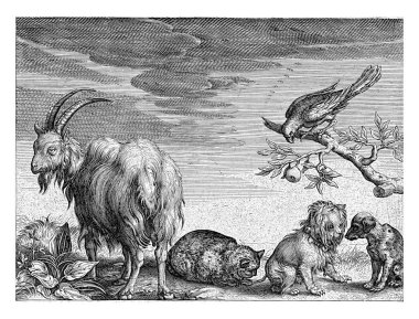 Soldan sağa, keçi, kedi, iki köpek ve elma dalında bir papağan..