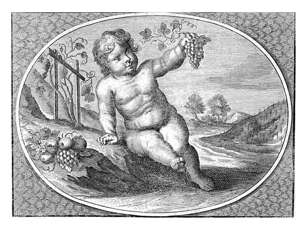 Otoño Forma Niño Con Racimo Uvas Frutas Óvalo Cornelis Van —  Fotos de Stock