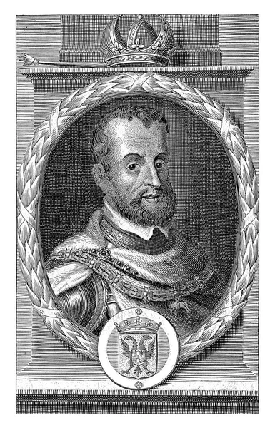 Károly Portréja Habsburgból Német Császár Spanyol Király Arany Gyapjú Rendjelét — Stock Fotó