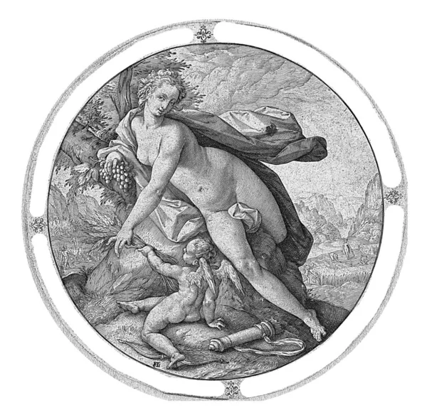 Vénusz Ámor Kerek Ábrázolása Egy Mellett Vénusznak Egy Csomó Szőlő — Stock Fotó