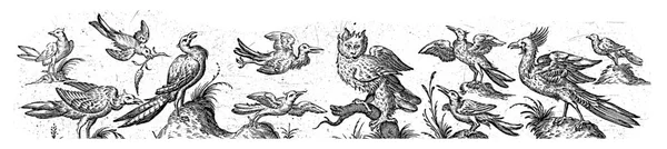 Fryzjer Jedenastoma Ptakami Prawym Końcu Drzewo Anonimowe Hans Collaert 1530 — Zdjęcie stockowe