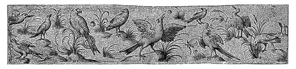 Friso Com Onze Aves Inseto Nicolaes Bruyn Depois Hans Liefrinck — Fotografia de Stock
