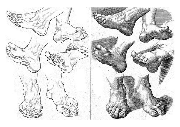 Изучение Разных Ног Анонимное Имени Бале Карраччи 1675 1711 — стоковое фото