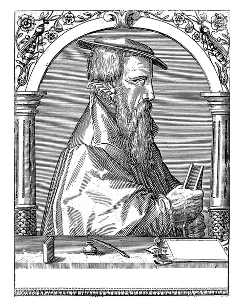 Retrato Johannes Wolf Robert Boissard 1597 1599 — Foto de Stock