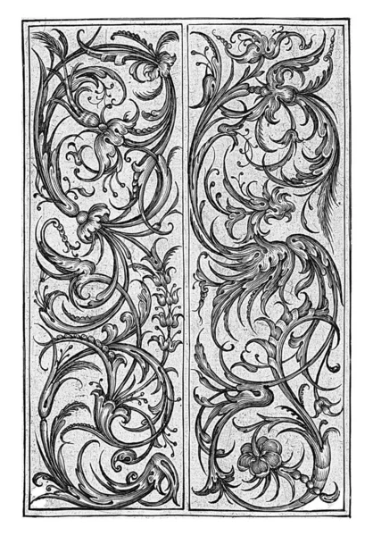 Series Sheets Leaf Vines Grotesques Dedicated George Henriot — Stock Photo, Image