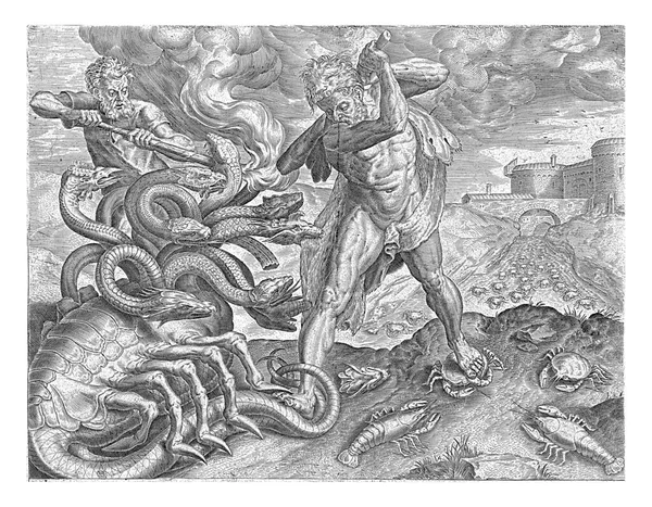 Hercules Verovert Hydra Van Lerna Cornelis Cort Naar Frans Floris — Stockfoto
