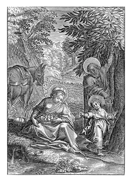 エジプトへの道で休む Theoodoor Galle おそらく 1581 1633エジプトへの道で聖なる家族の休息 キリストの子は木から実を摘む — ストック写真