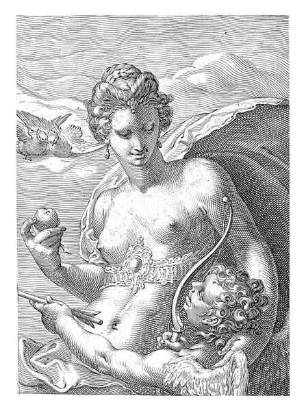 Naga Wenus Trzymająca Ręku Jabłko Paryża Patrzy Amora Który Trzyma — Zdjęcie stockowe