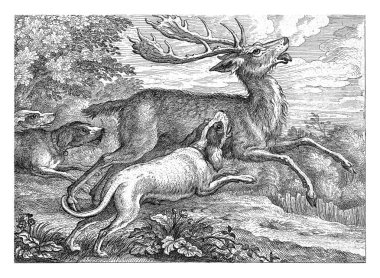 Three dogs hunt a deer in a wooded area. This print is part of a series of ten prints with different animals.