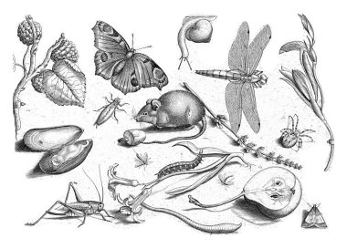 Her biri on iki parmak izinin dört parçasına bölünmüş 48 adet parmak izinden parmak izi. Alt sağdan bahsedildi: Üstte ve altta Latince bir metin