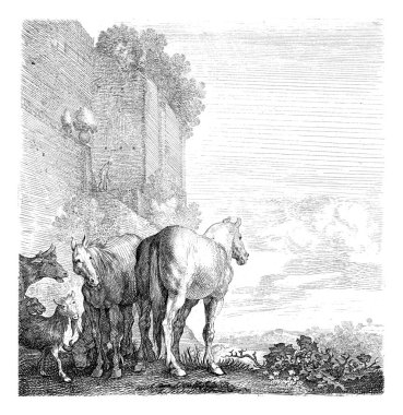 İki at ve bir de keçi... Yüksek duvarlı inek...