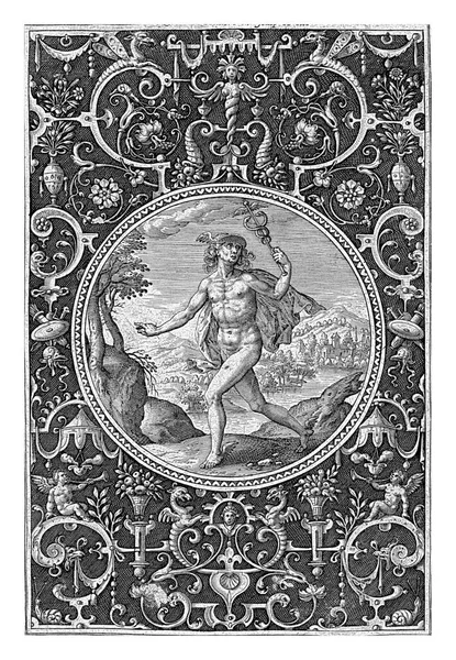 Медальон Ртутью Рамке Гротесков Цветами Гирляндами — стоковое фото
