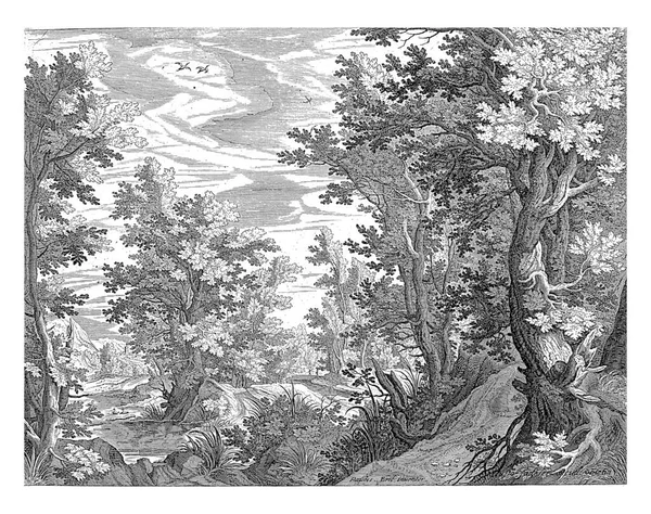 Waldlandschaft Aegidius Sadeler Nach Paul Bril 1580 1620 Jahrgang Graviert — Stockfoto