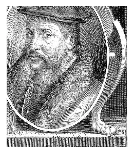 Ritratto Adriano Marius Jan Harmensz Muller 1610 1614 Ritratto Adriano — Foto Stock