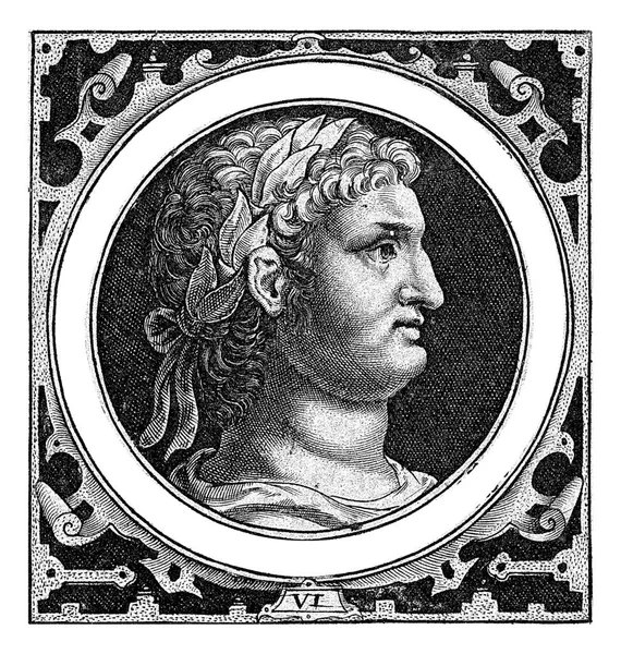 装飾が施された長方形のフレーム内のメダリオンにネロ皇帝の胸像 メダリオンの縁と天皇の名 — ストック写真