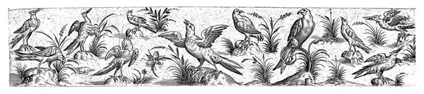 中间的那只鸟展开了翅膀 抬头看 12张编号图上的第2页 — 图库照片