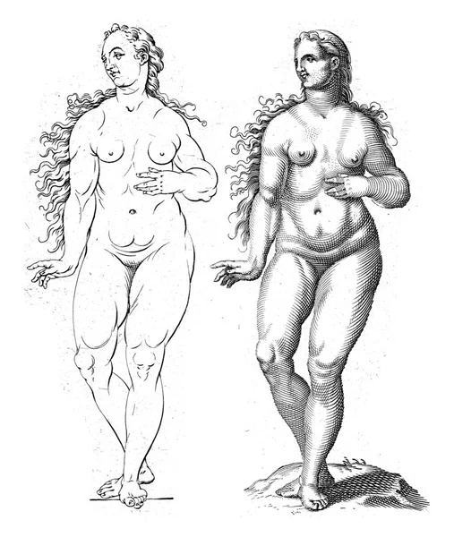 Δύο Γυναικεία Γυμνά Μπροστά Αριστερό Περίγραμμα Ευθύ Εκκόλαψη Από Nieuw — Φωτογραφία Αρχείου