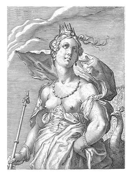 Başında Bir Taç Olan Tanrıça Juno Onun Yanında Bir Tavus — Stok fotoğraf