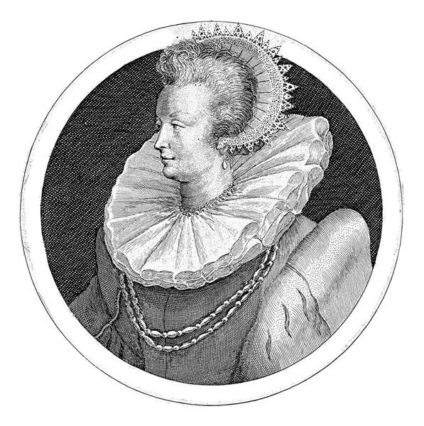 メアリーの肖像 ルブルセーの男爵 クリスピン ファン 1598メアリーの肖像 ルブルセーの男爵 フレームの端のレタリングでは ラテン語で座っている人の名前と位置 — ストック写真