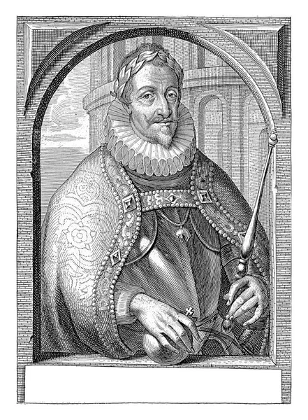 费迪南二世的肖像 他穿着一件盔甲 一件斗篷和一条金色羊毛的链子 — 图库照片