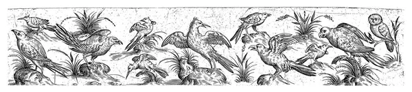 中央の鳥は翼を広げ 後ろを振り向いている 十二枚のうち四枚 — ストック写真