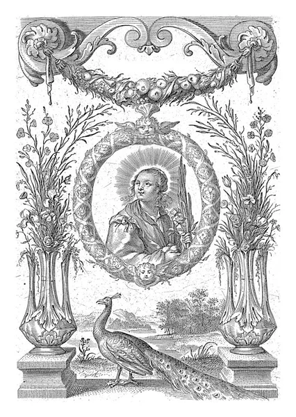 Dorthea コーネリス 1638年 1678年聖ドロテアは花園から吊るされた花輪の中にいた 両側に花を持つ2つの花瓶 地面の花輪の下に孔雀 — ストック写真
