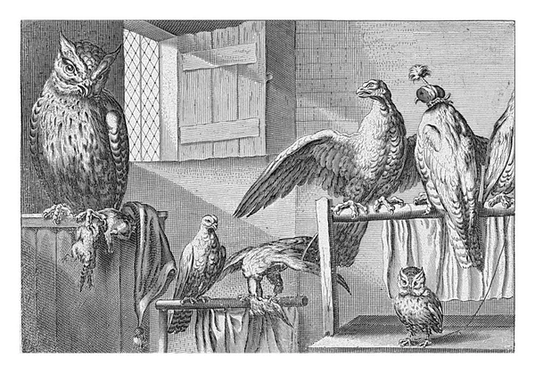 Falcons Owls Barn Pieter Van Lisebetten Wenceslaus Hollar Francis Barlow — Stock Photo, Image