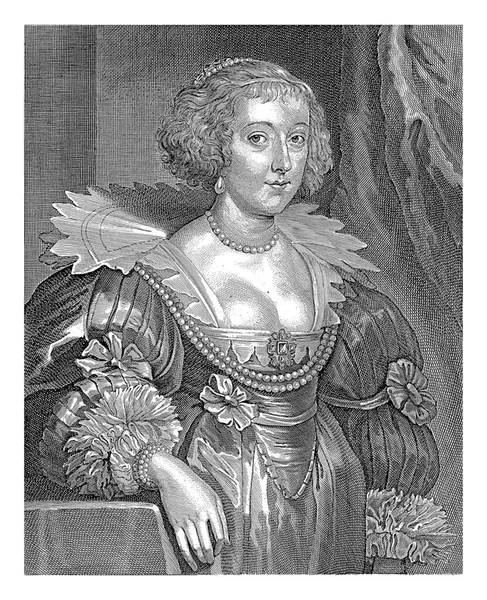 奥兰治 拿骚公主Amalia Van Solms的肖像 Coenraet Waumans 安东尼 范戴克之后 1633 1673年奥兰治 — 图库照片
