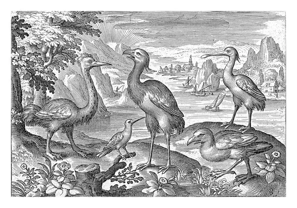 Gekroonde Kraan Tussen Twee Struisvogels Nicolaes Bruyn 1594 Vintage Gegraveerd — Stockfoto