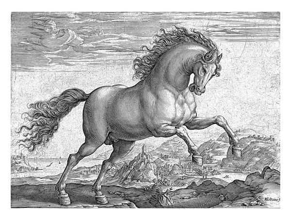 馬をリアリング 背景には海岸沿いの都市 ラテン語のパフォーマンスの下で4行 この印刷物は 40種類の馬のシリーズの一部です — ストック写真