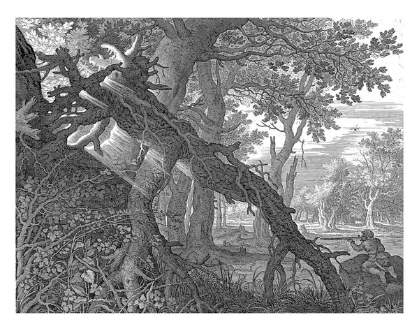 Дерева Великими Коренями Передньому Плані Праворуч Мисливець Вказує Пістолет Групі — стокове фото
