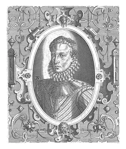 奥地利马蒂亚斯的肖像 上面有金羊毛勋章的项链 镶嵌在一个椭圆形的装饰图案中 — 图库照片