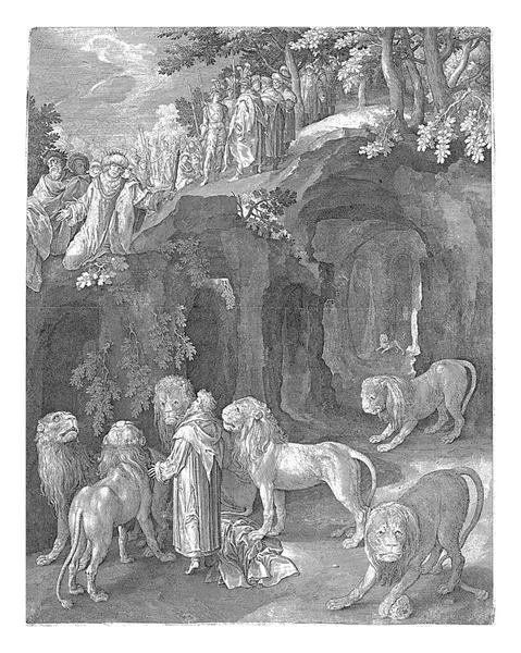 大流士国王发现丹尼尔毫发无损地站在狮子的洞穴里 尼可拉斯 布鲁恩 1618年 丹尼尔站在狮子的洞穴里 被狮子包围着 大流士国王跪在狮子窝的边缘 — 图库照片