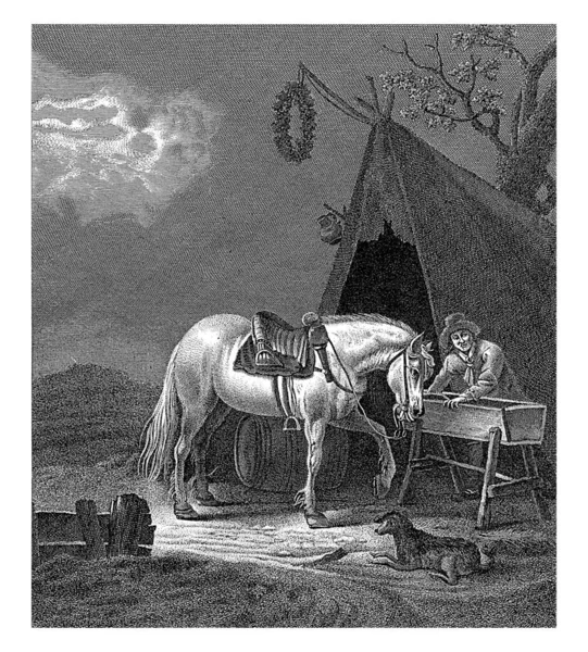 テントの前の月明かりの下で馬を飼っている男 手前に犬がいる — ストック写真