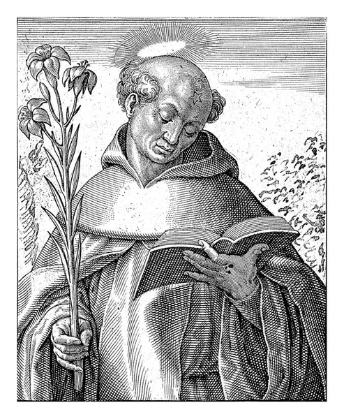 Dominicus Antonie Wierix 1565 1604 Saint Dominic Pitäen Liljaa Toisessa — kuvapankkivalokuva