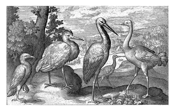 Stork Crane Heron Spoonbill Nicolaes Bruyn 1594 — Stock fotografie