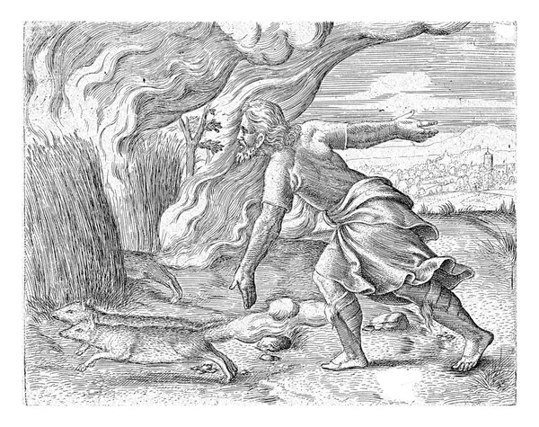 Самсон Поджигает Кукурузные Поля Филистимлян Корнелис Массийс 1562 Самсон Поджигает — стоковое фото