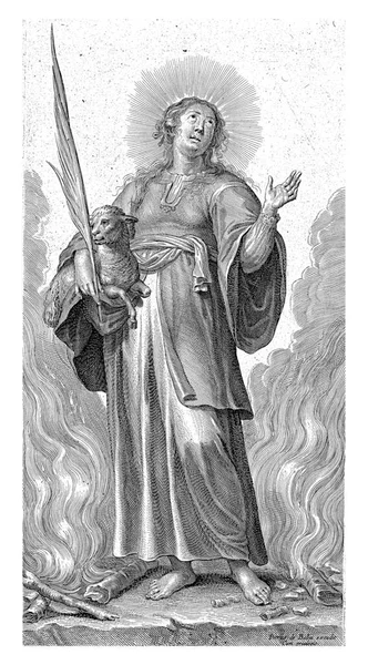 Saint Agnes Med Lamm Stående Mellan Brinnande Grenar Pieter Bailliu — Stockfoto