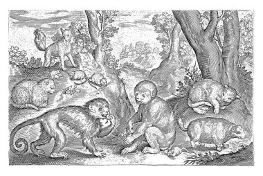 Maymunlar, Kediler ve Fareler, Nicolaes de Bruyn, 1621, eski oyma..