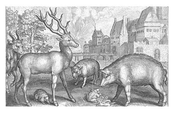 Herten Egel Schapen Kikker Varken Nicolaes Bruyn 1594 Vintage Gegraveerd — Stockfoto