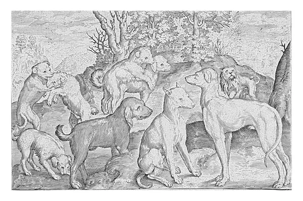 Nine Dogs Nicolaes Bruyn 1621 Винтажная Зависть — стоковое фото