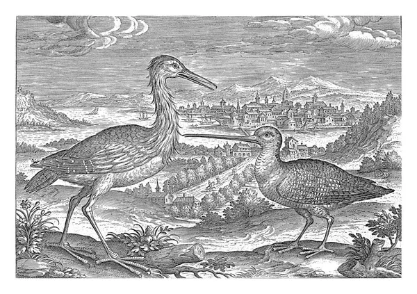 背景に街並みのある風景の中にヘロンとスニップ 本作品は鳥を題材にしたシリーズの一部です — ストック写真