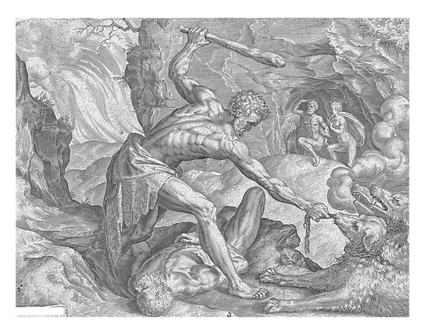 Hércules Saca Cerberus Del Infierno Cornelis Cort Después Frans Floris — Foto de Stock